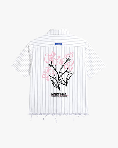 Rose Stripe