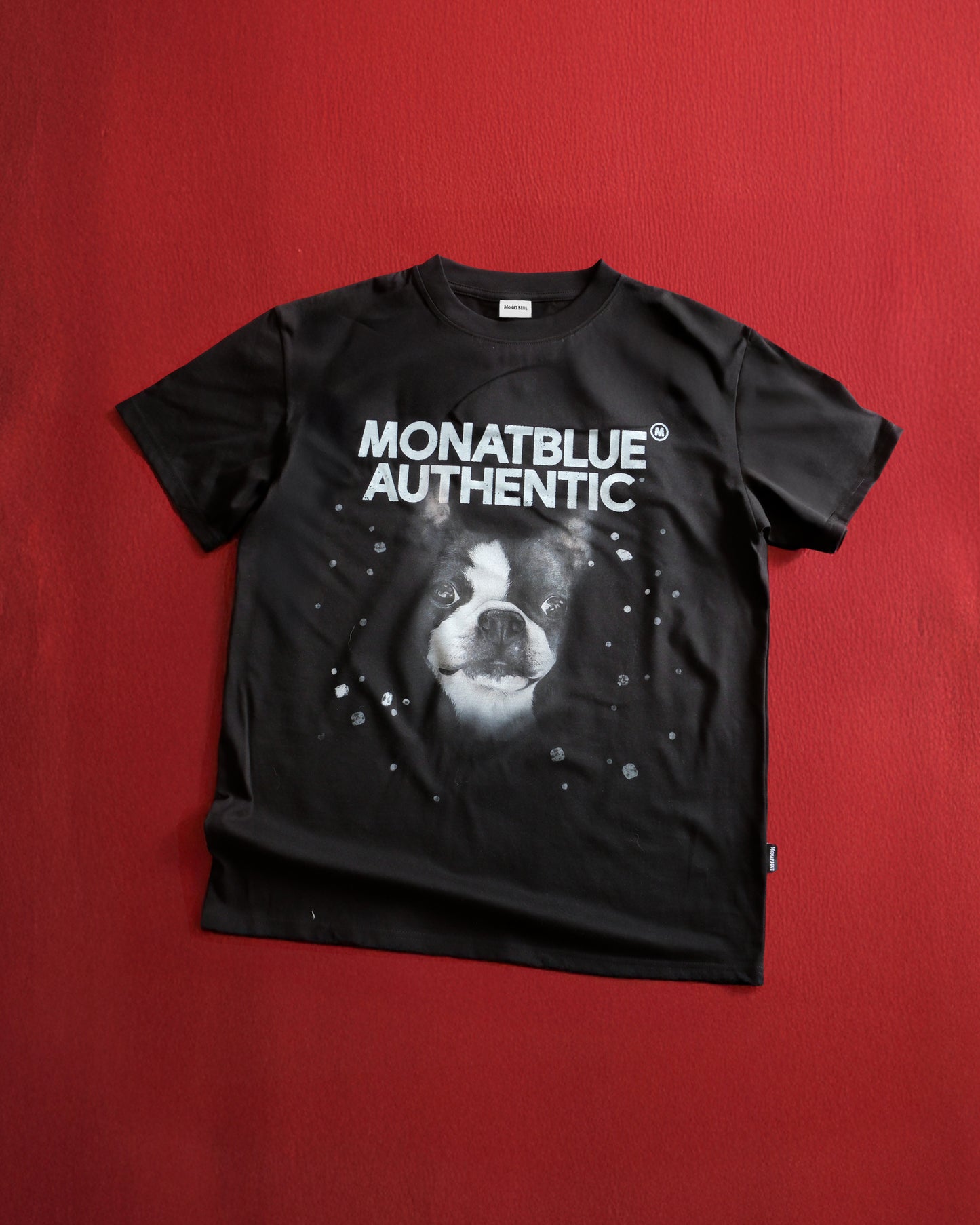 T-shirt  Boston Sparkle