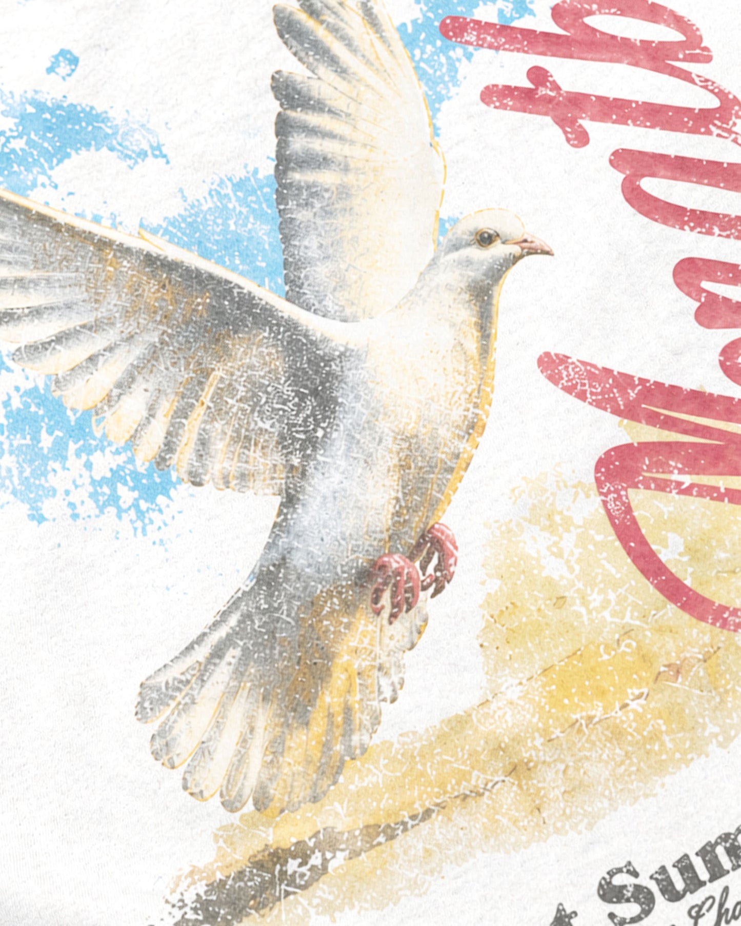Long Tee Dove Mascot Cloudwave